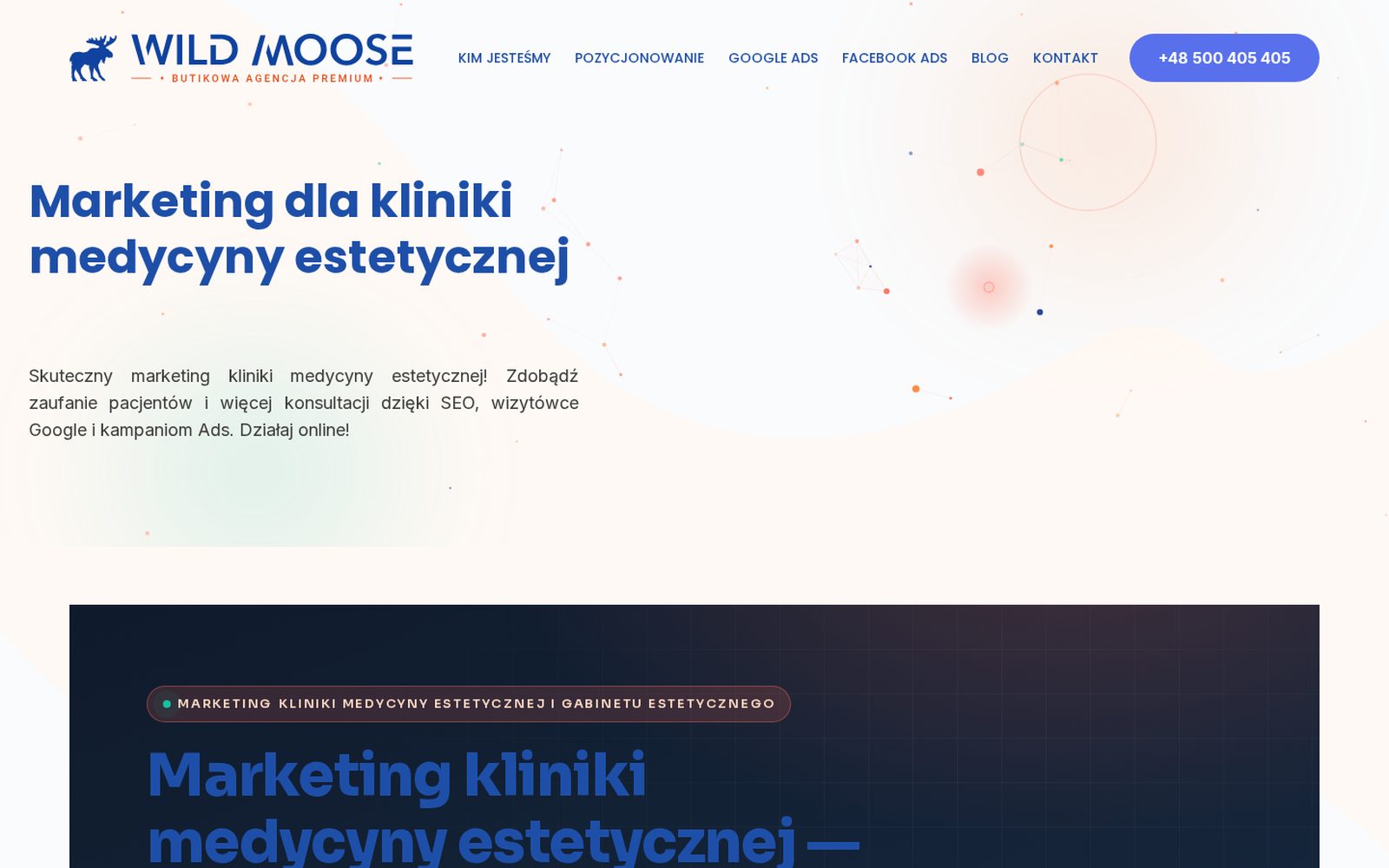 Wild Moose, marketing dla kliniki i salonu: strona usługi z czterema dźwigniami wzrostu